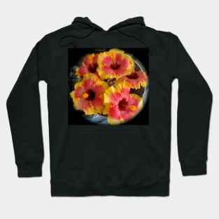 My Hibiscus Garden Hoodie